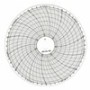 Dargestellte Scheiben - Stündliche Rotation, Dauer 1 Tag, Teilung 60 Minuten, Durchmesser 254 mm - 100 Stk