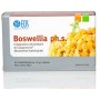 EOS Boswellia ph.s. 30 tablet po 1,2 g