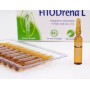 Fitodrena L 10 Ampullen von 2 ml