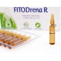 Fitodrena R 10 Ampullen von 2 ml