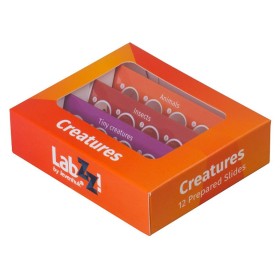 Set de lame pregătite Levenhuk LabZZ C12 pentru animale Set de lame pregătite Levenhuk LabZZ C12 pentru animale