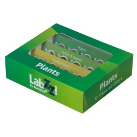 Set de lame pregătite Levenhuk LabZZ P12 pentru plante Set de lame pregătite Levenhuk LabZZ P12 pentru plante