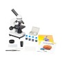 Microscope Levenhuk arc-en-ciel 2L