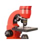 Microscope Levenhuk arc-en-ciel 50L