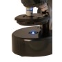 Levenhuk microscope LabZZ M101