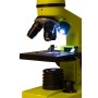 Microscope Levenhuk arc-en-ciel 2L