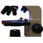 Microscop Levenhuk Rainbow 2L