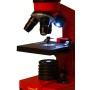 Microscope Levenhuk arc-en-ciel 2L