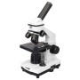Microscop Levenhuk Rainbow 2L PLUS