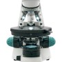 Microscopio trinoculare Levenhuk 500T POL