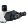 Microscope trinoculaire Levenhuk 950T DARK