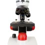 Microscoape Levenhuk Discovery Pico