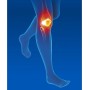 Epitact - Patella Kniebrace Epithelflex – Maat T2 (omtrek 36-38)