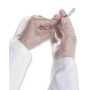 Guanti in vinile senza polvere PALMPRO EXPERT 615 - 100 pz.
