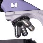 MAGUS Bio D250T Digitale Biologische Microscoop
