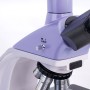 Microscopio biologico digitale MAGUS Bio D250TL