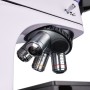 Microscopio metallografico digitale MAGUS Metal D600 BD