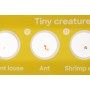 Set Levenhuk Discovery Fauna con 12 diapositivas preparadas