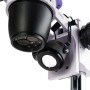 Microscopio stereoscopico digitale MAGUS Stereo D8T PLUS