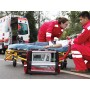 Respirator awaryjny Shangrila 510s
