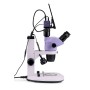 Microscopio stereoscopico digitale MAGUS Stereo D7T LCD BASE